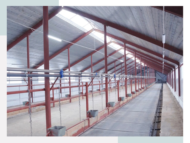 Строительство коровников в Протвино от 611 руб.