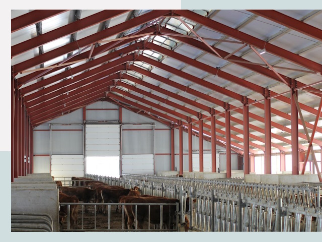 Строительство коровников в Протвино