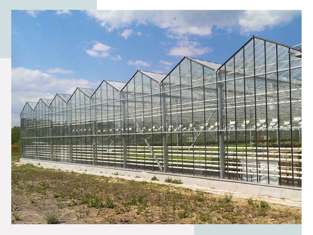 Строительство теплиц в Протвино от 611 руб. за м²