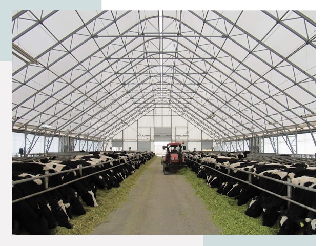 Тентовые коровники в Протвино от 611 руб. - Надежно и доступно