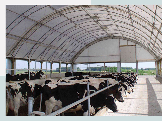 Тентовые коровники в Протвино